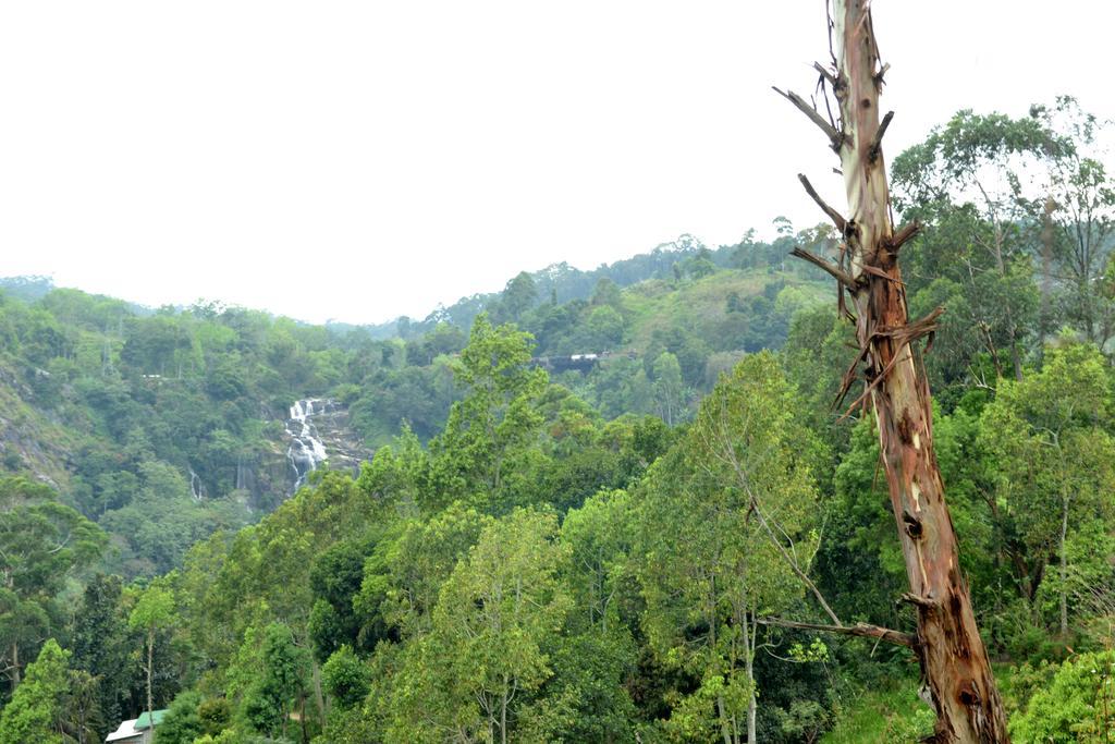 Chamodya Home Stay 엘라 외부 사진